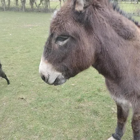 Le Clos Des Pommiers 3* Tracy-sur-Mer