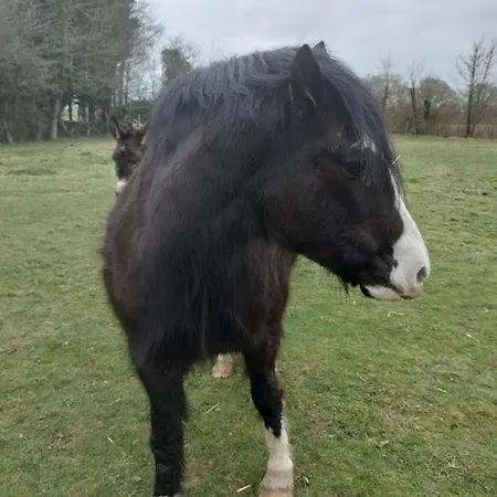 Le Clos Des Pommiers לינה וארוחת בוקר