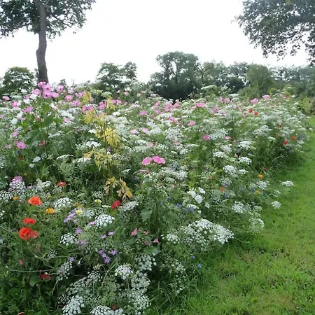 Le Clos Des Pommiers Tracy-sur-Mer