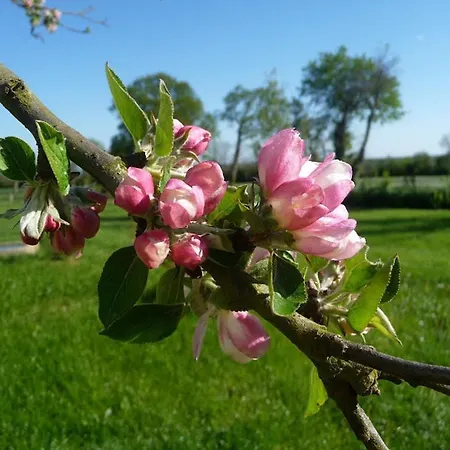 Le Clos Des Pommiers B&B 3*