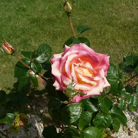 Le Clos Des Pommiers Tracy-sur-Mer