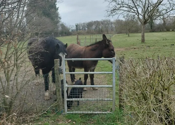Bed and breakfast Le Clos Des Pommiers, D'hotes &
